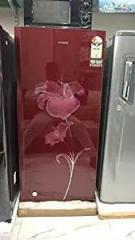 Glass Refrigerator PR5