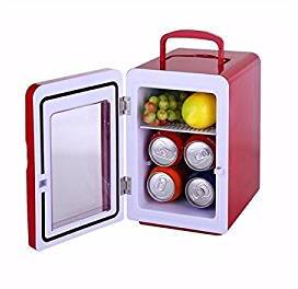 Hitsan 4 Litres Mini Refrigerator Car Ice Box Mini Fridge 12V 220V Cool And Warm Container
