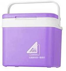 Homgeel 10 Litres Portable Car Refrigerator Ice Bucket Mini Fridge Cooler And Warmer Picnic Icebox For Skincare Snacks Cans Home And Travel Purple