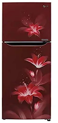 Lg 260 Litres 2 Star GL N292DSDY Smart Inverter Frost Free Double Door Refrigerator