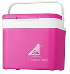 Portable 10 Litres Car Refrigerator Ice Bucketni Fridge Cooler And Warmer Picnic Icebox For Skincare Snacks Cans Home And Travel ERNP