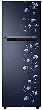 Samsung 253 Litres RT28M3022PZ/HL Frost Free Double Door Refrigerator