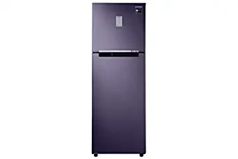 Samsung 255 Litres 2 Star RT30T3422UT/HL Frost Free Double Door Refrigerator