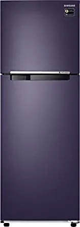 Samsung 272 Litres 2 Star RT30T3082UT/HL Inverter Frost Free Double Door Refrigerator