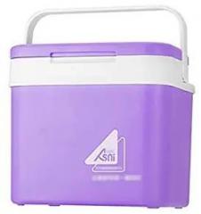 Worldcare 10 Litres Portable Car Refrigerator Ice Bucket Mini Fridge Cooler And Warmer Picnic Icebox For Skincare Snacks Cans Home And Travel