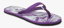 Adidas Aril Attack Purple Flip Flops women