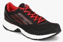 Adidas Lite Primo Black Running Shoes men