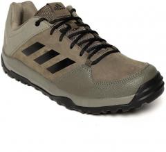 Adidas Olive Brown Trekking Shoes men