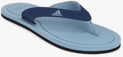 Adidas Stabile Blue Flip Flops men