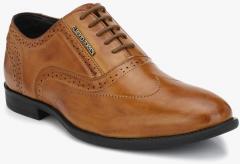 Alberto Torresi Tan Regular Formal Shoes men