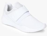 Alcott White Sneakers men