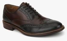 Aldo Alfred Brogue Brown Formal Shoes men