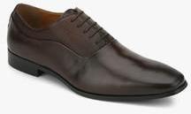 Aldo Alson Brown Formal Shoes men