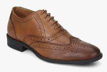 Allen Solly Brown Oxford Brogue Formal Shoes men