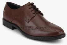 Arrow Brown Brogue Formal Shoes men
