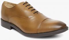 Arrow Elko Tan Oxford Formal Shoes men