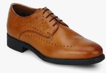 Arrow Franklin Tan Derby Formal Shoes men
