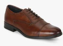 Arrow Gimps Brown Oxford Formal Shoes men