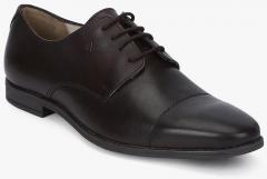 Arrow Preston Brown Derby Formal Shoes men