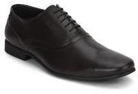 Arrow Semoul Brown Formal Shoes men