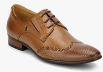 Arrow Tan Derby Formal Shoes men