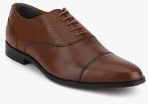 Arrow Tan Formal Shoes men