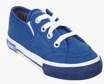Beanz Blue Sneakers boys