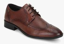 Buy Men's Nl-Hayden Leather Formal Shoes online | Looksgud.in