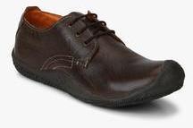 Buckaroo Carson Brown Derby Lifestyle Shoes men