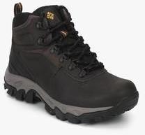 Columbia Newton Ridge Plus Ii Waterproof Brown Outdoor Shoes men