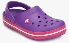 Crocs Crocband Purple Clogs men