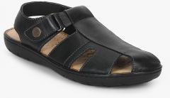 dr scholls sandals mens