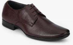 Egoss Brown Derbys Formal Shoes men