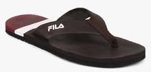 Fila Cambino Coffee Flip Flops men
