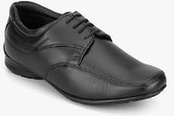 Franco Leone Black Derby Formal Shoes men