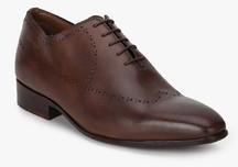 Hush Puppies Elan One Piece Perforated Brown Oxford Brogue Formal Shoes men