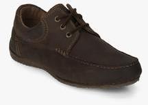 Hush Puppies Randell Roll Mocc Brown Lifestyle Shoes men