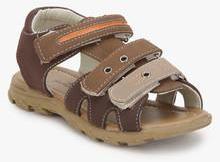Juniors By Lifestyle Brown Sandals boys