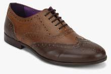 Knotty Derby Bryce Wing Cap Brogue Brown Formal Shoes men