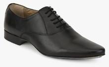Knotty Derby Elphias Oxford Black Formal Shoes men