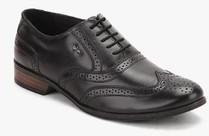 Lee Cooper Black Oxford Brogue Formal Shoes men