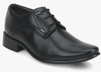 Lee Cooper Derby Black Formal Shoes men