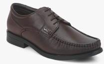 Lee Cooper Derby Brown Formal Shoes men