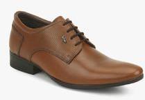 Lee Cooper Derby Tan Formal Shoes men