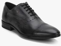 Louis Philippe Black Oxford Brogue Formal Shoes men