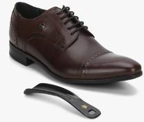 Louis Philippe Brown Derby Brogue Formal Shoes men