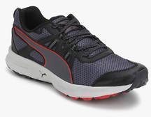 Puma Descendant Tr Black Running Shoes 