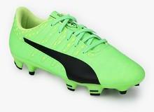 Puma Evopower Vigor Fg Green Football Shoes boys