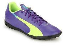 Puma Evospeed 5.3 Tt Purple Football Shoes men