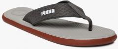 Puma Grey Solid Thong Flip Flops men